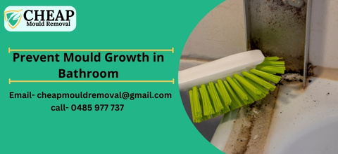 Bathroom Mould Removal