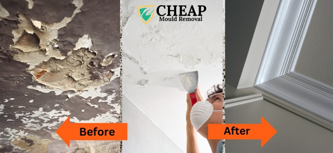 Cheap mould Removal Service